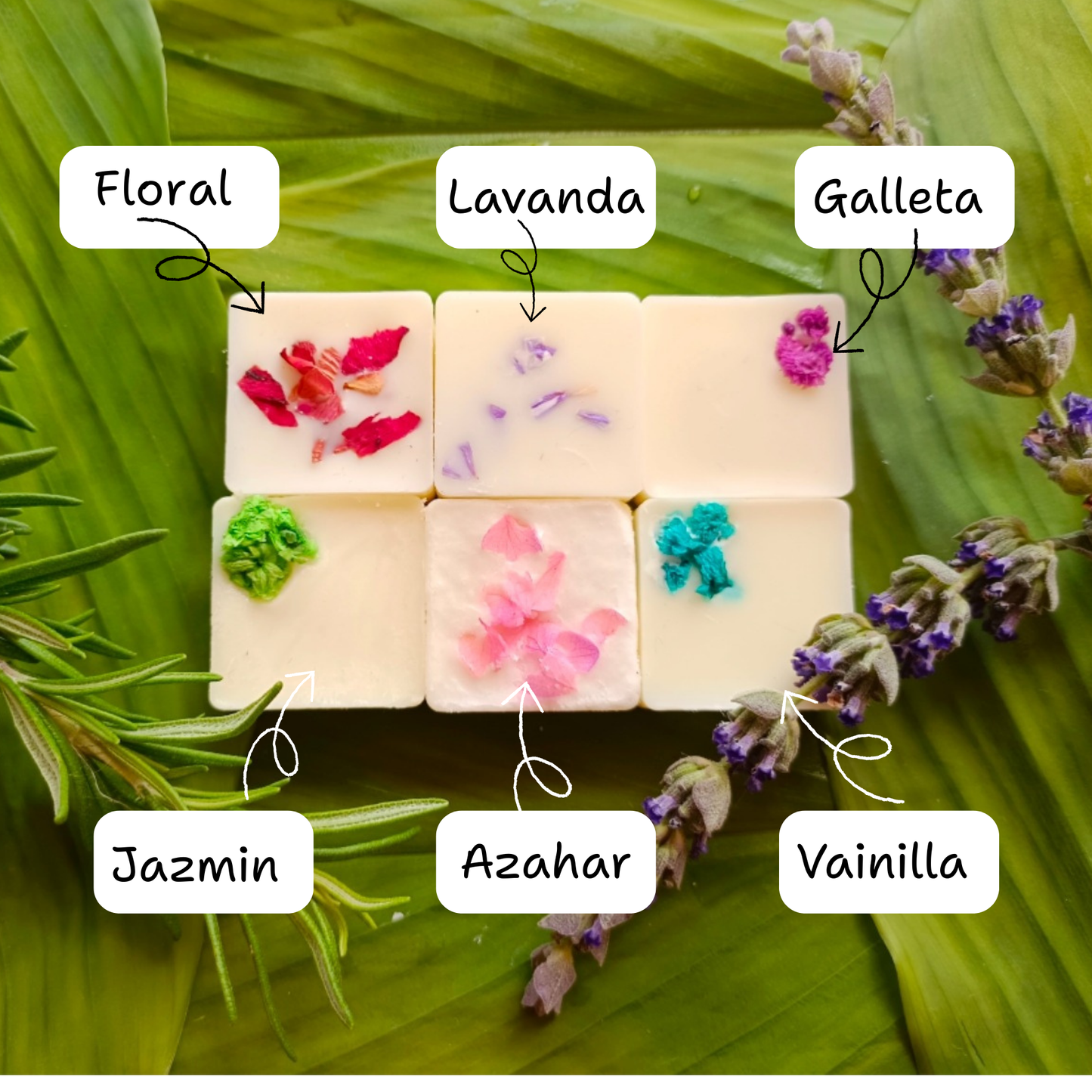 Ceras aromáticas de origen botánico