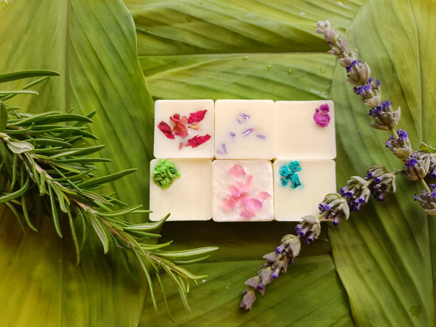 Ceras aromáticas de origen botánico
